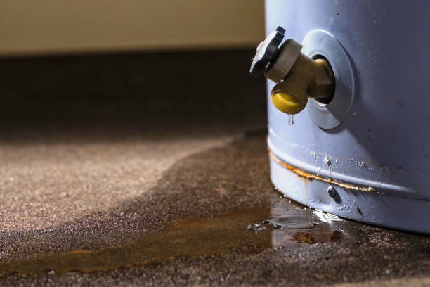 Best Emergency water damage restoration  in New Port Richey East, FL