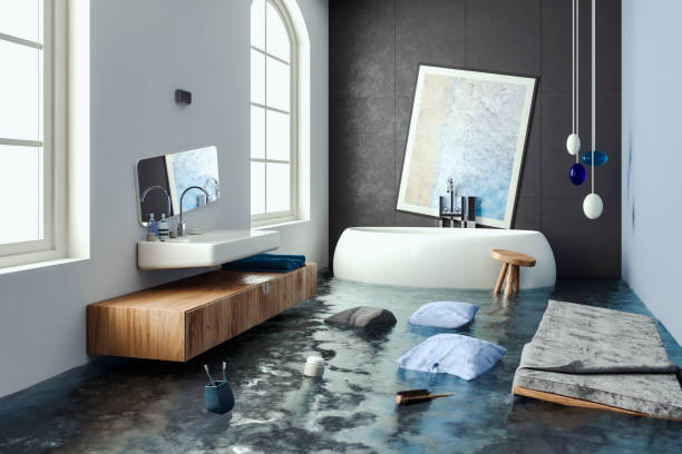 Best Professional water damage repair  in New Port Richey East, FL