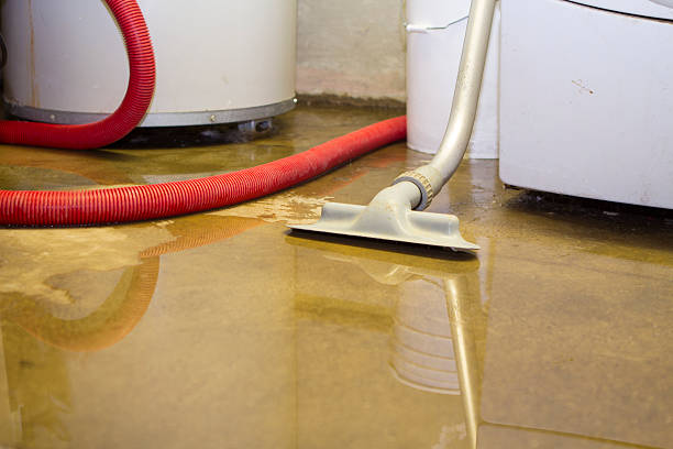 Best Water damage restoration experts  in New Port Richey East, FL