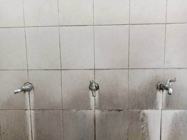 Best 24-hour water damage restoration  in New Port Richey East, FL
