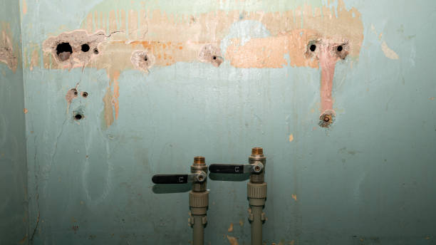 Best Emergency water damage restoration  in New Port Richey East, FL