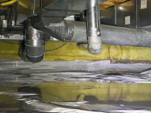 Best Ceiling water damage repair  in New Port Richey East, FL