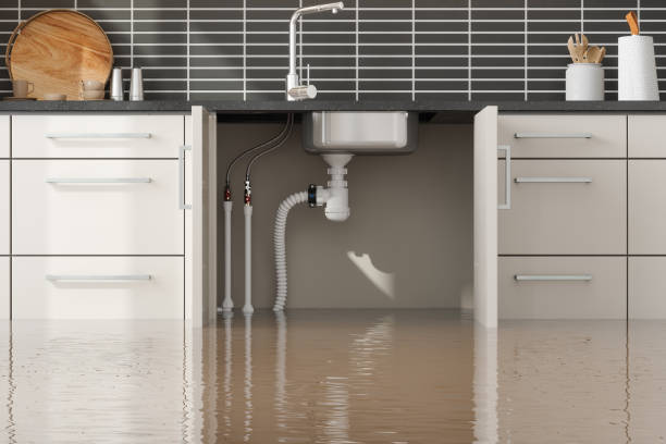 Best Water damage repair service  in New Port Richey East, FL