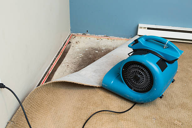 Best Fire Damage Restoration  in New Port Richey East, FL