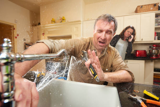 Best 24/7 water damage repair  in New Port Richey East, FL